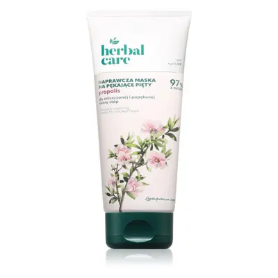 Farmona Herbal Care regenerating mask for the feet and nails 100 ml