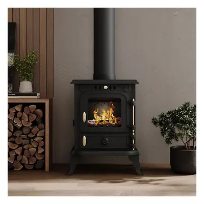 Freestanding Cast Iron Wood Burning Stove Fireplace