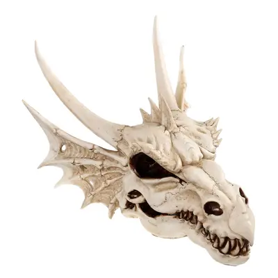 Wall decoration The Last Dragon Skull