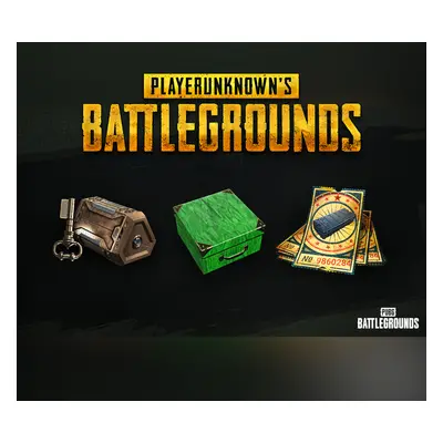 PUBG Battlegrounds - 2024 Exclusive Survivor Pack #2 DLC XBOX One / Xbox Series X|S CD Key