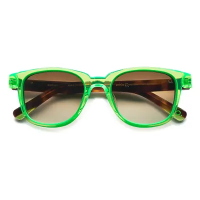 Etnia Barcelona Ibiza GRBR Men's Sunglasses Green Size