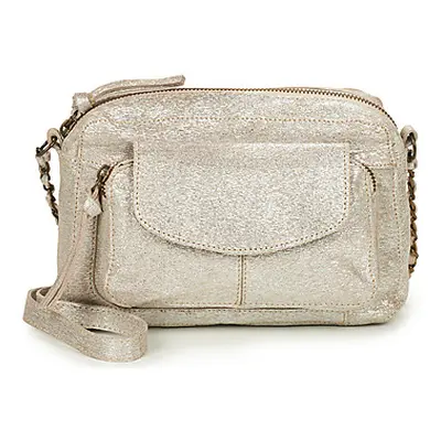 Pieces PCNAINA women's Shoulder Bag in Silver
