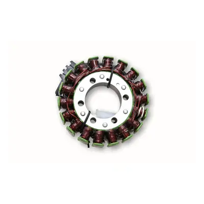 ElectroSport Stator ESG795 for alternator