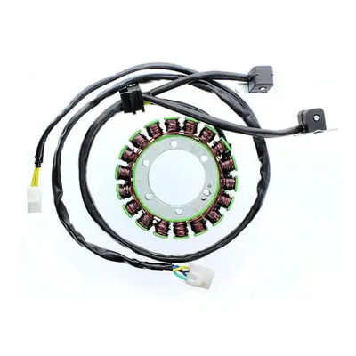 ElectroSport Stator ESG657 for alternator