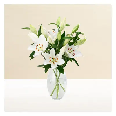 Morrisons The Best Pink Oriental Lily Flowers Bouquet