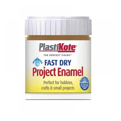 Plastikote 440017 Fast Dry Enamel Paint B17 Bottle Nut Brown 59Ml