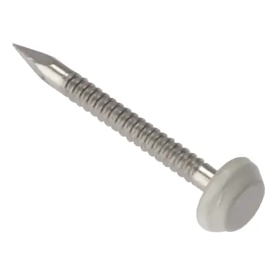 Seac SEAPP40GR Cladding Pins Grey A4 Ss 40Mm Box 250