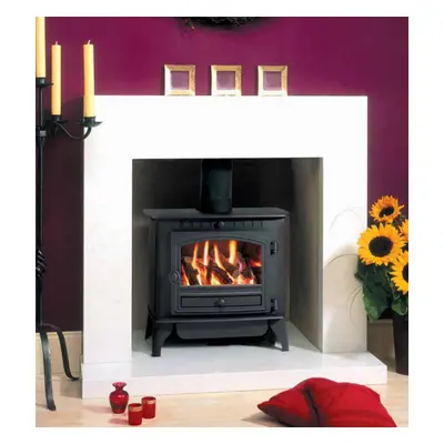 Hunter Herald 6 Gas Stove