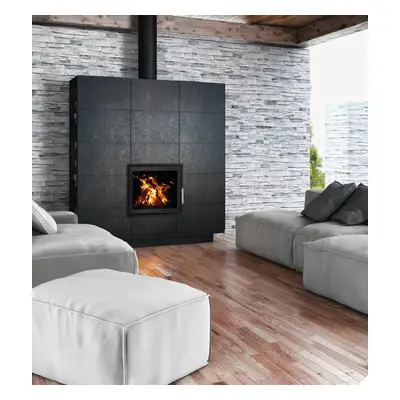 Woodfire EX 17 Panorama Inset Eco Boiler Stove