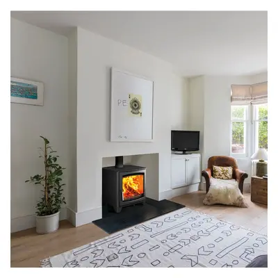 Parkray Aspect 14 Wood Burning Ecodesign Stove