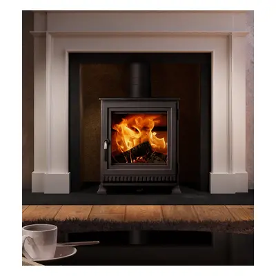 Dik Geurts Aste 5 Low 4.9kW Wood / Multifuel Ecodesign Stove