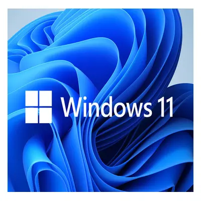 Windows 11 Pro OEM CD Key