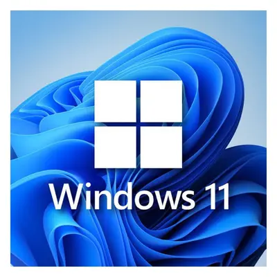 Windows 11 Pro Retail CD Key