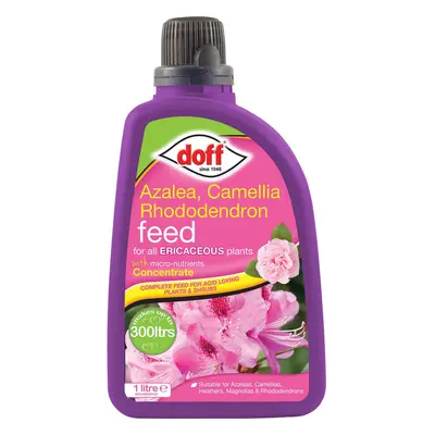 Doff Azalea, Camellia and Rhododendron Feed