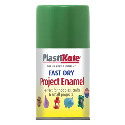 Plastikote Dry Enamel Aerosol Spray Paint