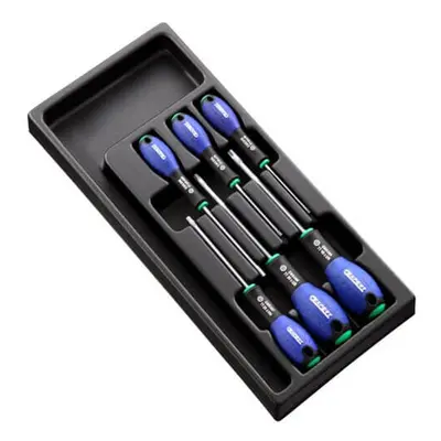 Expert by Facom 6 Piece Security Torx Screwdriver Set in Module Tray