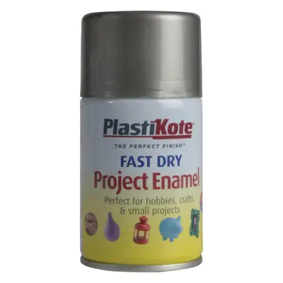 Plastikote Dry Enamel Aerosol Spray Paint