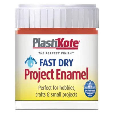 Plastikote Fast Dry Enamel Paint