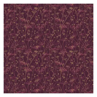 Clarissa Hulse Wallpaper Wild Chervil 120397