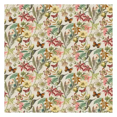 York Wallpaper Butterfly House BL1724