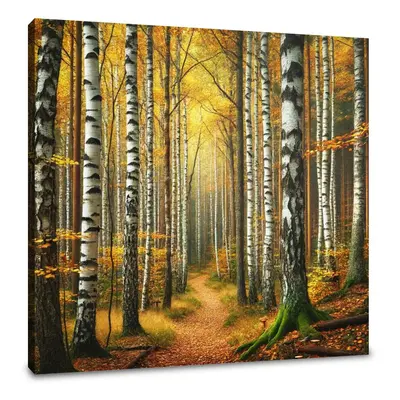 Autumn Birch Forest Canvas