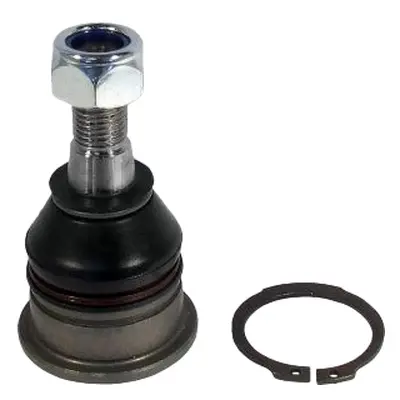 Delphi Ball Joint - Front | TC2405 | GSF Car Parts