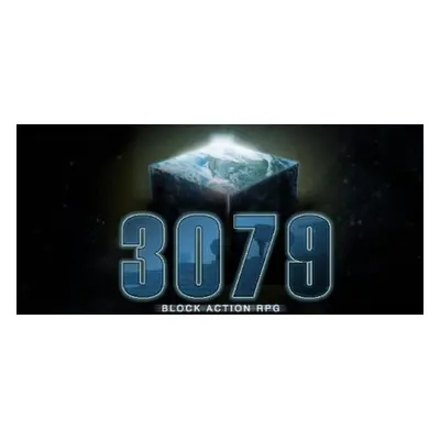 3079 -- Block Action RPG Steam Key