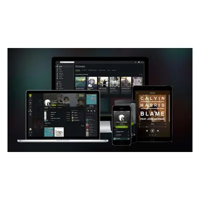 Spotify Premium 1 Month Account