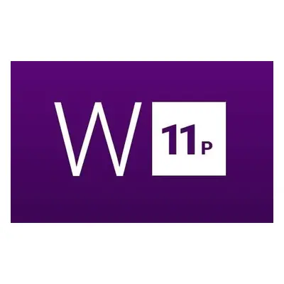 Windows 11 Professional + MS Office Professional Plus 2021 - Bundle