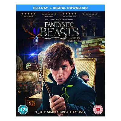 Fantastic Beasts and Where To Find Them (Vudu / Movies Anywhere) Code