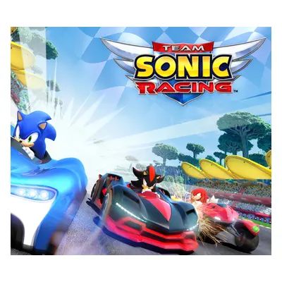Team Sonic Racing PS4/PS5 Account