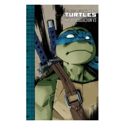 Teenage Mutant Ninja Turtles. V 3