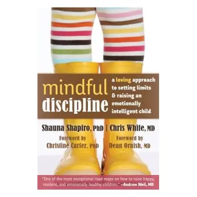 Mindful Discipline