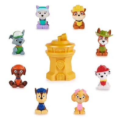 Paw Patrol 10th Anniversary Mystery Mini 2