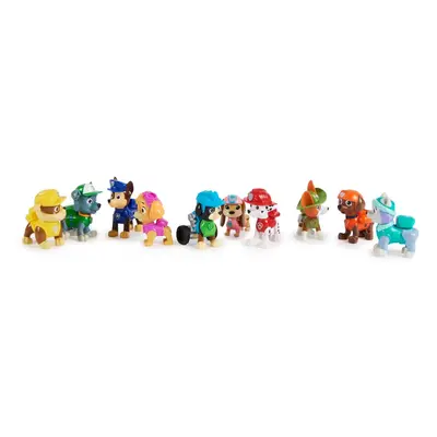 Paw Patrol Figure Gift Pack