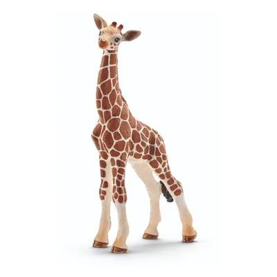 Schleich-S 14751 Giraffe Calf