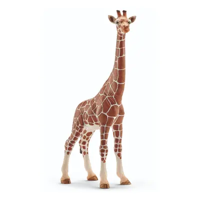 Schleich-S 14750 Giraffe, Female