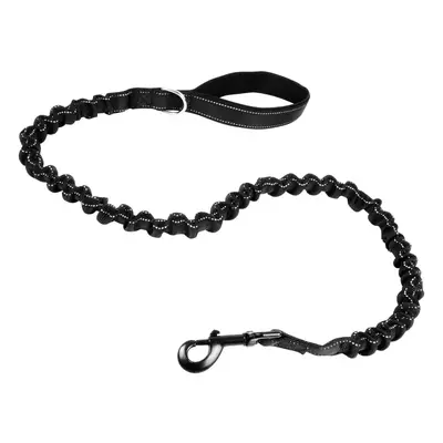 Anti-shock Dog Lead