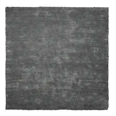 Shaggy Area Rug Dark Grey 200 X 200 Cm Modern High-pile Machine-tufted Square Carpet