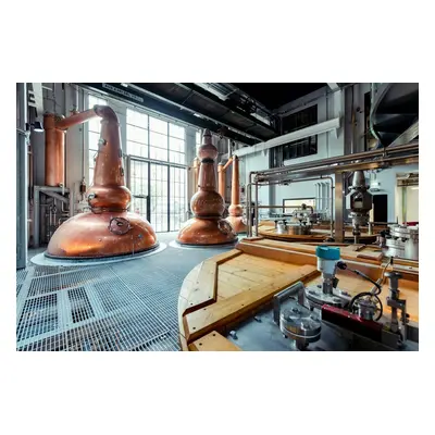 Private Dublin distillery trail