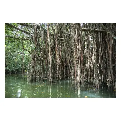 The Lost Zone Amazon & Old Town from Khao Lak