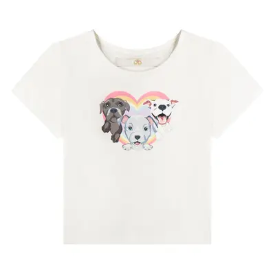 Women's Cloud Haven Big Heart Signature Pittie Tee | Rainbow Graphic Crop Top White | S