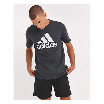 Adidas Big Logo T-Shirt Grey - adidas - Size: M37/40