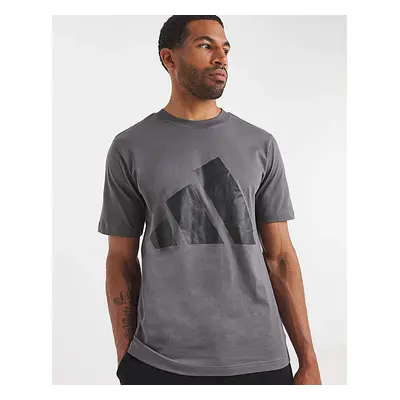 Adidas Big Logo T-Shirt Grey - adidas - Size: M37/40