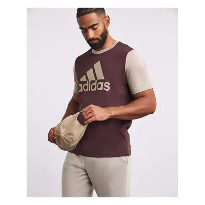 Adidas Big Logo T-Shirt Brown - adidas - Size: S34/37